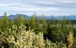 View to the Hinterland from Port Macquarie