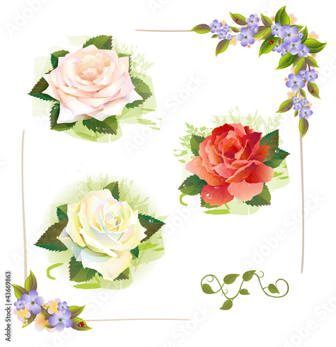 Vektor: Set of roses. Vintage style. Imitation of watercolor painting. Set of roses. Vintage style. Imitation of watercolor painting.