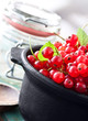 Johannisbeeren