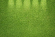 Photo: Green grass texture and background Green grass texture and background