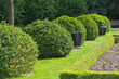 English garden