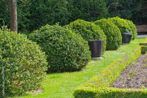Photo: English garden English garden