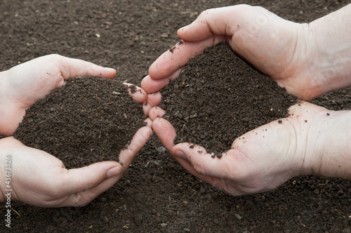 Photo: Soil in hands Soil in hands