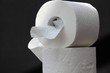 Toilettenpapier Sanitär