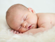 newborn baby girl sleeping on her stomach