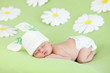 newborn baby girl sleeping on green meadow among daisy