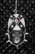 BDSM mouse