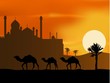 camel trip with mosque background