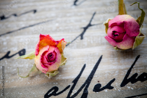 Photo: Dried roses Dried roses