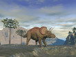 Triceratops