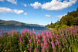 Photo: Côte écossaise Côte écossaise