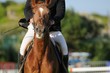 cheval ayant peur devant un obstacle