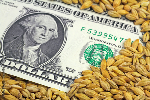 Photo: dollar in korn dollar in korn
