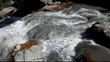 Video: water stream in the Alps water stream in the Alps