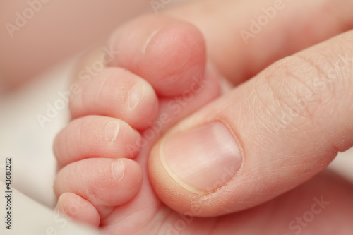 Photo: Mother touching baby's foot Mother touching baby's foot