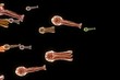 Fantasy bacterium,3d animation.