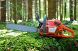 Kettensäge im Wald