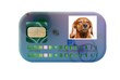 Dog health insurance