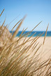 beautiful deserted beach