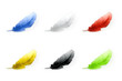 Feathers Set