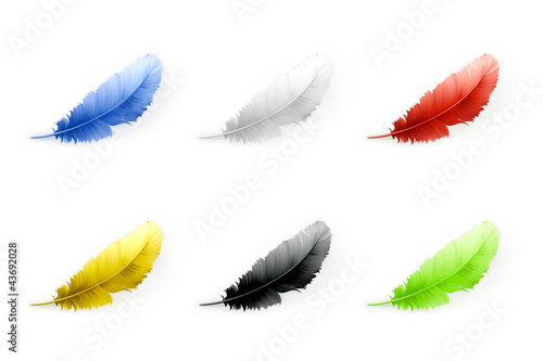 Vector: Feathers set Feathers set