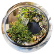 Garden in a Jar
