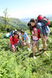 Family on a trekking day looking at wild flowers