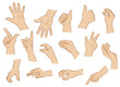 Hände, Handhaltungen, farbig