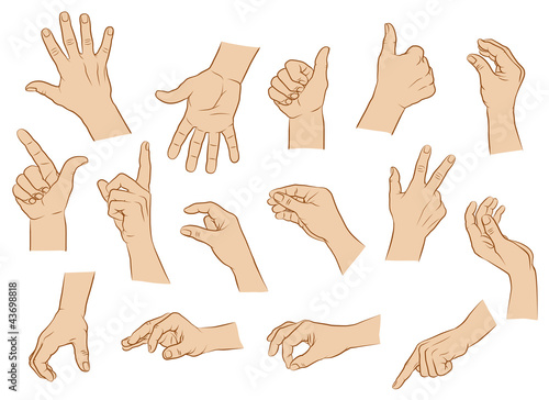 Vector: Hände, Handhaltungen, farbig Hände, Handhaltungen, farbig