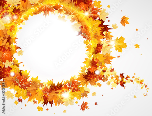Vector: Frame with the beautiful maple leaves Frame with the beautiful maple leaves