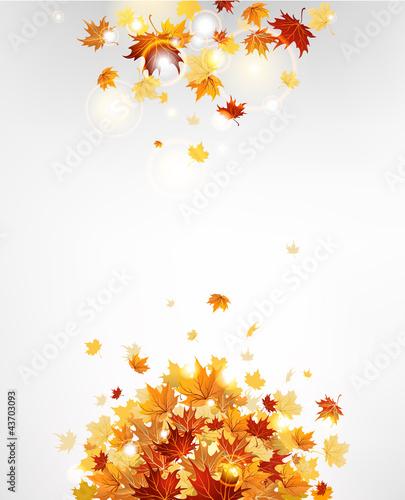 Vektor: Autumn leaves background Autumn leaves background