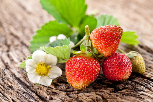 Foto: Strawberries with leaves Strawberries with leaves