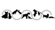 animals cats and dogs traces of the vector