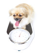 Photo: My healthy diet ensures the perfect weight My healthy diet ensures the perfect weight