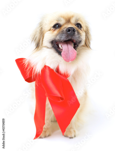 Photo: The perfect present for any occasion The perfect present for any occasion