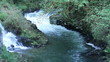 Waterfall and River Rapidly Flowing