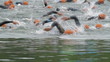 Triathlon 19