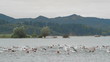 Triathlon 21