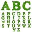 High resolution conceptual grass fonts set