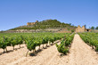 Foto: Viñedos junto al castillo de Davalillo, La Rioja (España) Viñedos junto al castillo de Davalillo, La Rioja (España)