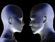 High resolution 3D wireframe human male or female head isolated