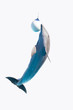 dolphin jumping