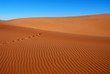 Spuren im Sand