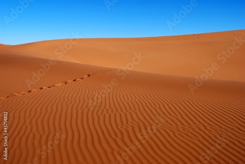 Foto: Spuren im Sand Spuren im Sand