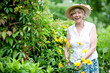 Seniorin bei Gartenarbeit