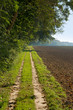 Feldweg im Spätsommer, Jahreszeiten, Landwirtschaft, Wanderwege