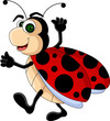 funny Ladybug cartoon