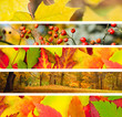 Photo: Set of 5 Different Autumn's Banners Set of 5 Different Autumn's Banners