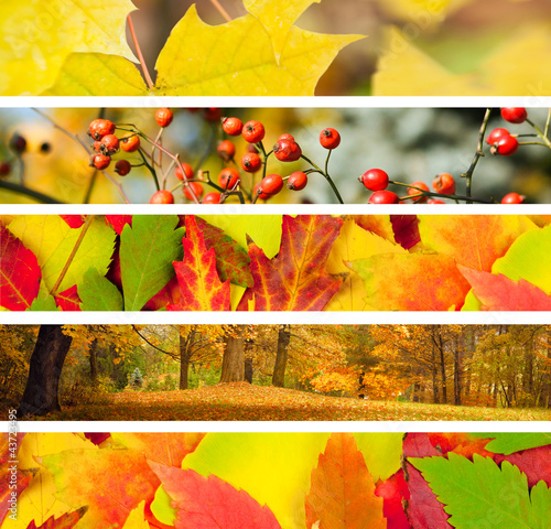 Photo: Set of 5 Different Autumn's Banners Set of 5 Different Autumn's Banners