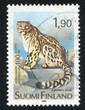 Snow Leopard